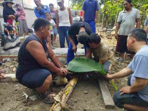 Program Qurban Berkah
